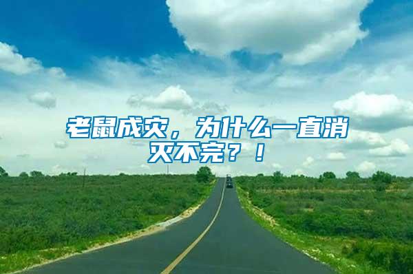 老鼠成災(zāi)，為什么一直消滅不完？！