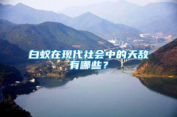 白蟻在現(xiàn)代社會(huì)中的天敵有哪些？