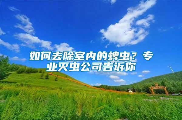 如何去除室內(nèi)的蜱蟲(chóng)？專(zhuān)業(yè)滅蟲(chóng)公司告訴你