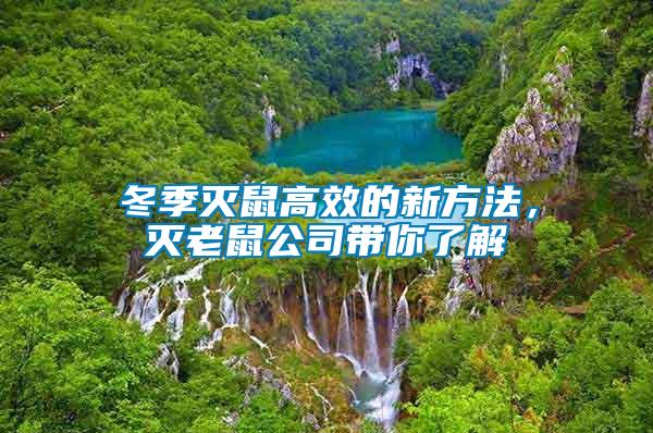 冬季滅鼠高效的新方法，滅老鼠公司帶你了解