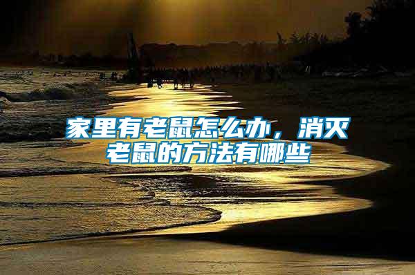 家里有老鼠怎么辦，消滅老鼠的方法有哪些