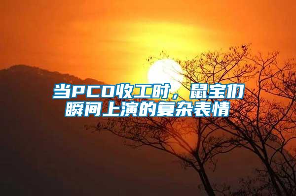 當PCO收工時，鼠寶們瞬間上演的復雜表情