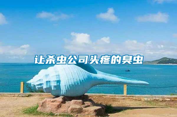 讓殺蟲(chóng)公司頭疼的臭蟲(chóng)
