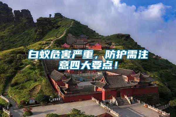 白蟻危害嚴重，防護需注意四大要點！