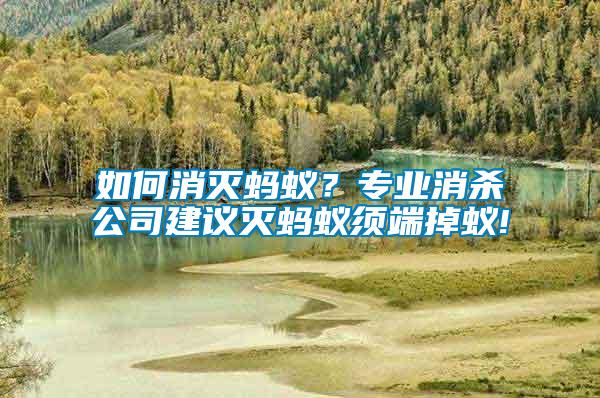 如何消滅螞蟻？專業(yè)消殺公司建議滅螞蟻須端掉蟻!