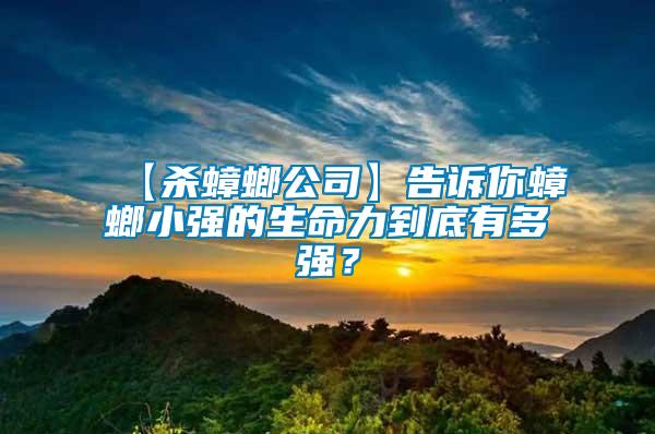 【殺蟑螂公司】告訴你蟑螂小強(qiáng)的生命力到底有多強(qiáng)？