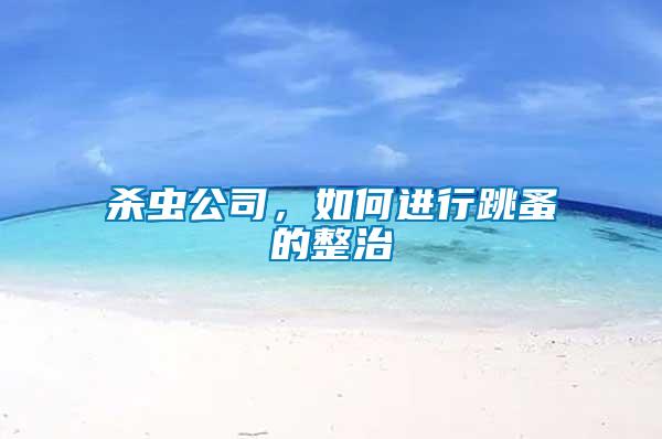 殺蟲公司，如何進(jìn)行跳蚤的整治