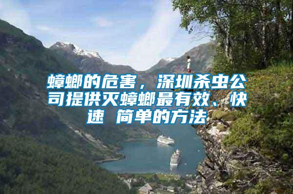 蟑螂的危害，深圳殺蟲公司提供滅蟑螂最有效、快速 簡單的方法