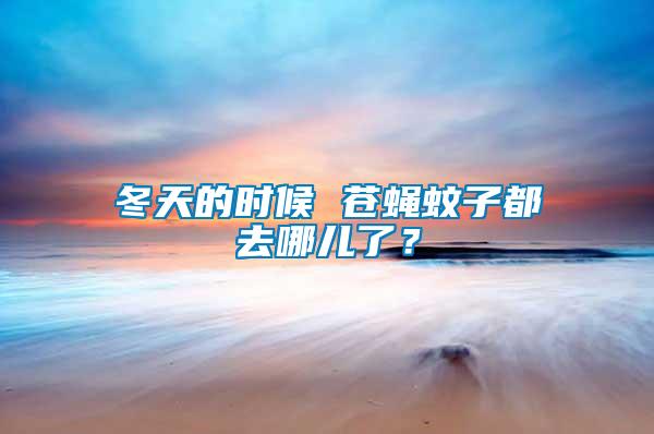 冬天的時候 蒼蠅蚊子都去哪兒了？