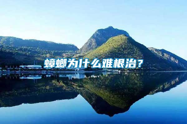 蟑螂為什么難根治？