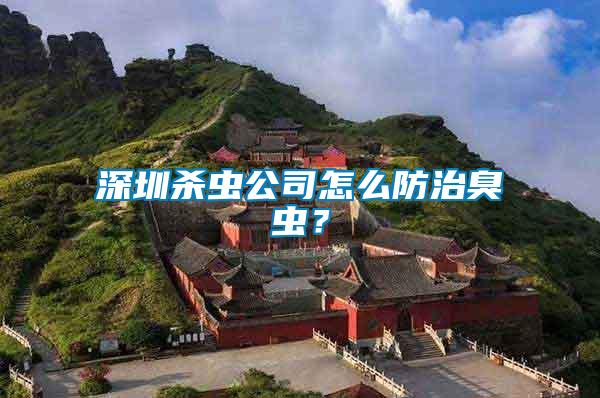 深圳殺蟲公司怎么防治臭蟲？