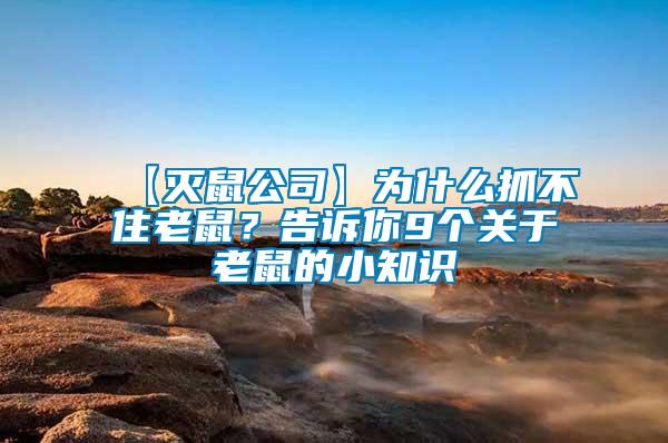 【滅鼠公司】為什么抓不住老鼠？告訴你9個(gè)關(guān)于老鼠的小知識(shí)