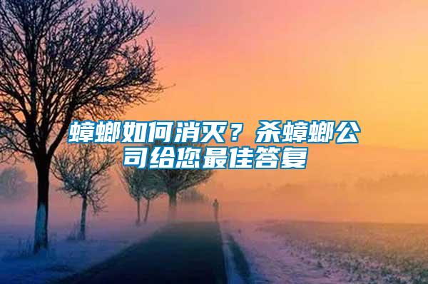 蟑螂如何消滅？殺蟑螂公司給您最佳答復(fù)