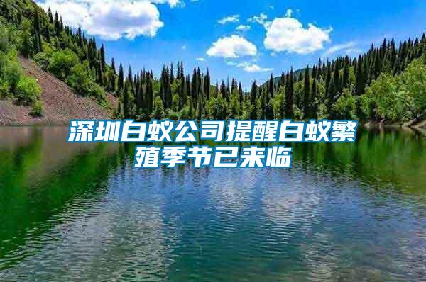 深圳白蟻公司提醒白蟻繁殖季節(jié)已來(lái)臨