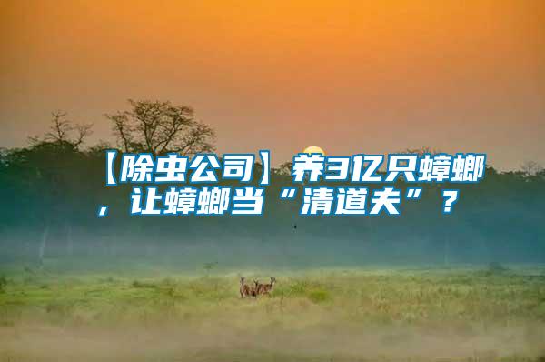 【除蟲公司】養(yǎng)3億只蟑螂，讓蟑螂當(dāng)“清道夫”？