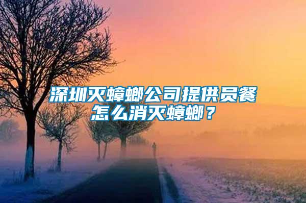 深圳滅蟑螂公司提供員餐怎么消滅蟑螂？
