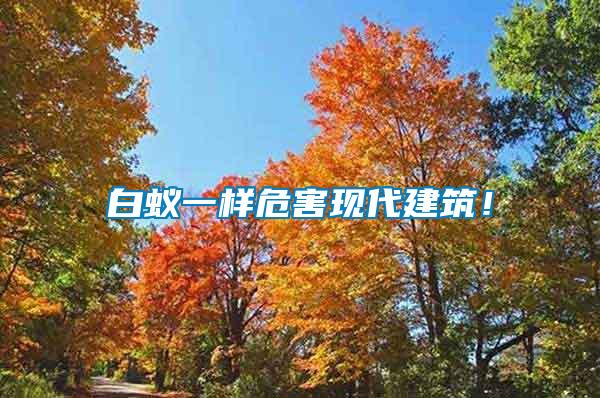 白蟻一樣危害現(xiàn)代建筑！