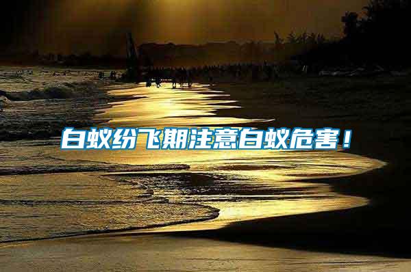 白蟻紛飛期注意白蟻危害！