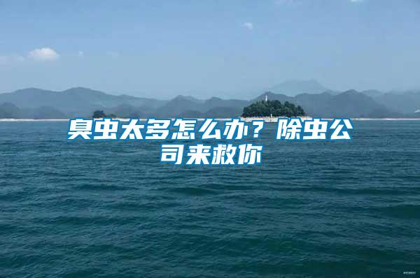 臭蟲太多怎么辦？除蟲公司來救你