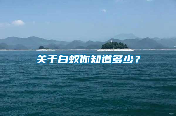 關于白蟻你知道多少？