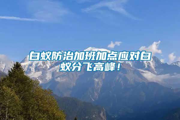 白蟻防治加班加點應(yīng)對白蟻分飛高峰！