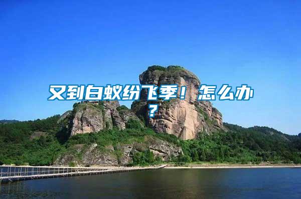 又到白蟻紛飛季！怎么辦？