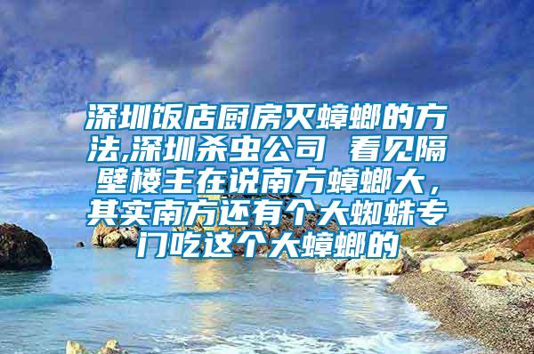 深圳飯店廚房滅蟑螂的方法,深圳殺蟲公司 看見隔壁樓主在說南方蟑螂大，其實(shí)南方還有個(gè)大蜘蛛專門吃這個(gè)大蟑螂的