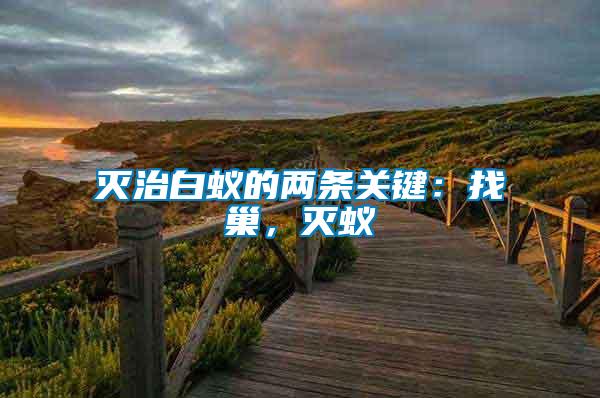 滅治白蟻的兩條關(guān)鍵：找巢，滅蟻