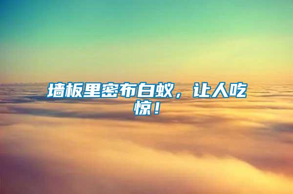 墻板里密布白蟻，讓人吃驚！