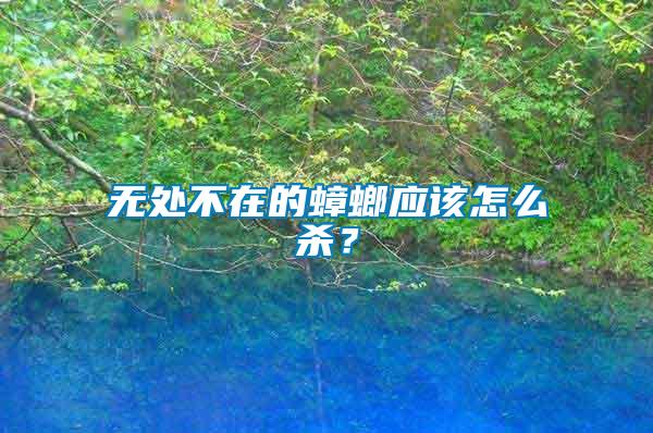 無(wú)處不在的蟑螂應(yīng)該怎么殺？