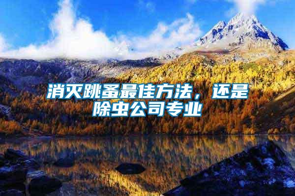 消滅跳蚤最佳方法，還是除蟲(chóng)公司專(zhuān)業(yè)