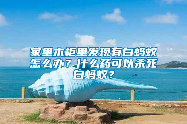 家里木柜里發(fā)現(xiàn)有白螞蟻怎么辦？什么藥可以殺死白螞蟻？