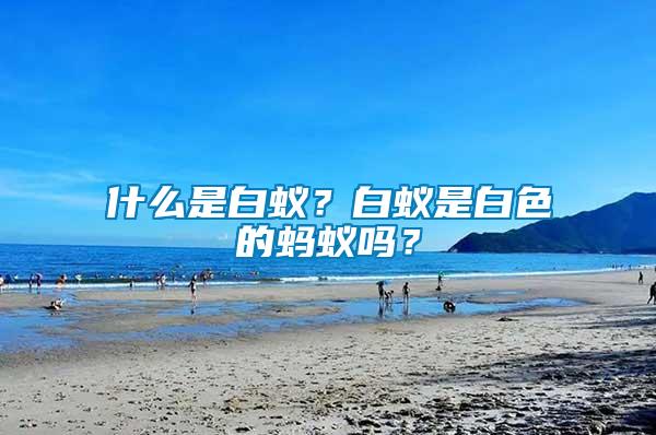 什么是白蟻？白蟻是白色的螞蟻嗎？