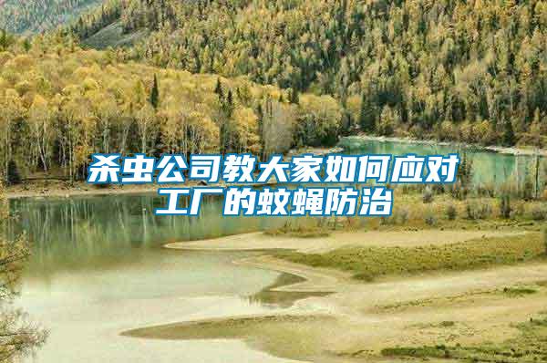殺蟲公司教大家如何應(yīng)對(duì)工廠的蚊蠅防治