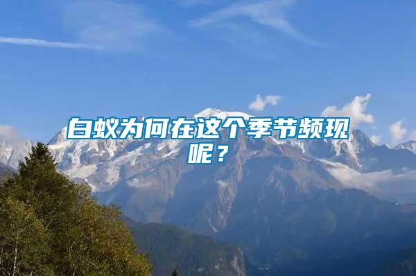 白蟻為何在這個季節(jié)頻現(xiàn)呢？
