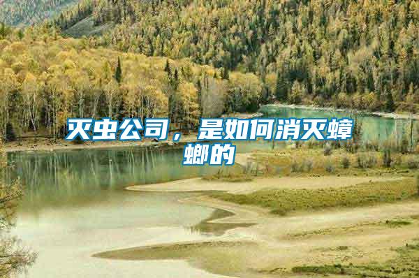 滅蟲(chóng)公司，是如何消滅蟑螂的