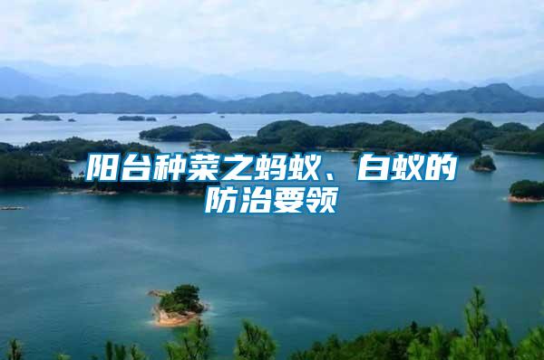 陽(yáng)臺(tái)種菜之螞蟻、白蟻的防治要領(lǐng)