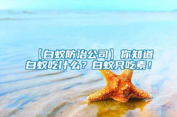 【白蟻防治公司】你知道白蟻吃什么？白蟻只吃素！