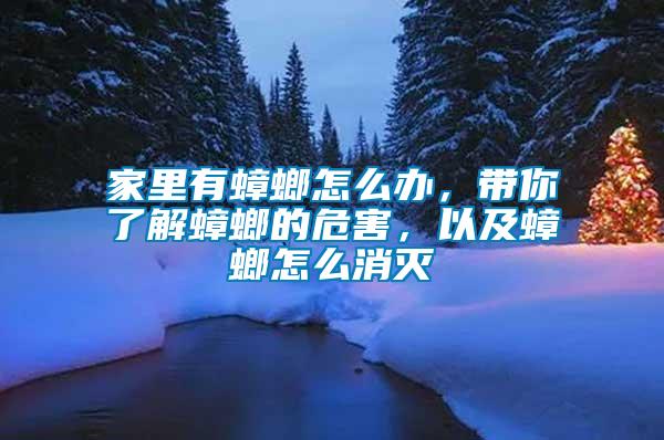 家里有蟑螂怎么辦，帶你了解蟑螂的危害，以及蟑螂怎么消滅