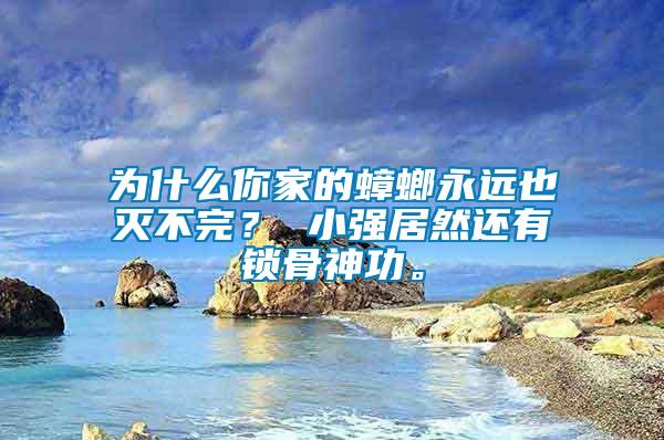 為什么你家的蟑螂永遠(yuǎn)也滅不完？ 小強(qiáng)居然還有鎖骨神功。