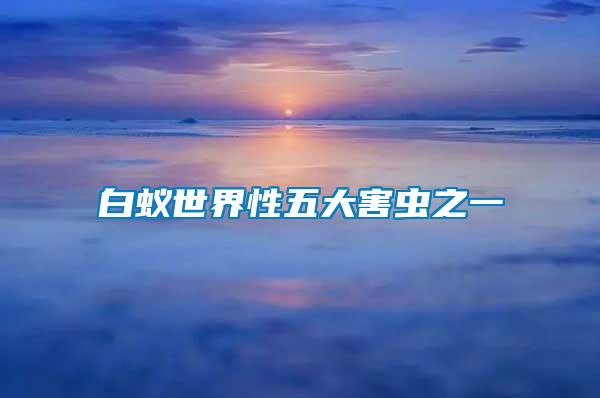 白蟻世界性五大害蟲(chóng)之一