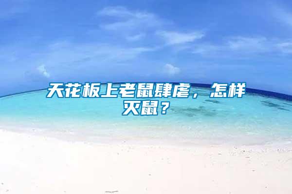 天花板上老鼠肆虐，怎樣滅鼠？