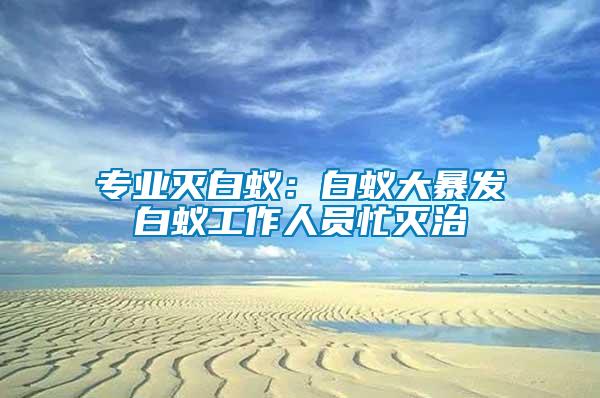 專(zhuān)業(yè)滅白蟻：白蟻大暴發(fā)白蟻工作人員忙滅治