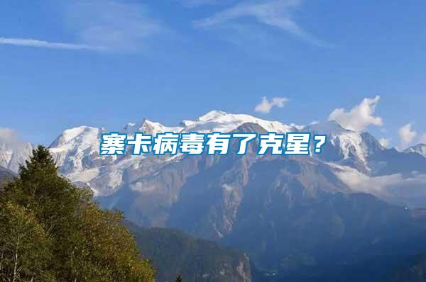 寨卡病毒有了克星？
