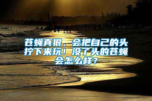 蒼蠅真狠，會(huì)把自己的頭擰下來(lái)玩！沒(méi)了頭的蒼蠅會(huì)怎么樣？