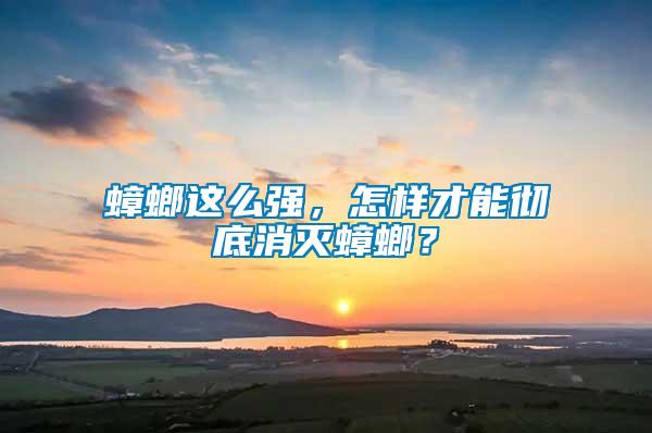 蟑螂這么強(qiáng)，怎樣才能徹底消滅蟑螂？