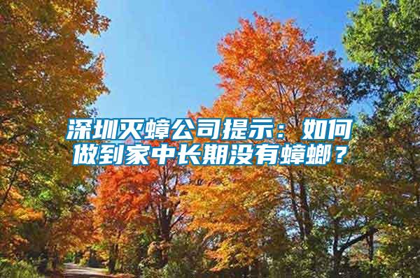 深圳滅蟑公司提示：如何做到家中長期沒有蟑螂？