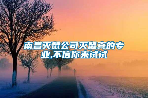 南昌滅鼠公司滅鼠真的專(zhuān)業(yè),不信你來(lái)試試