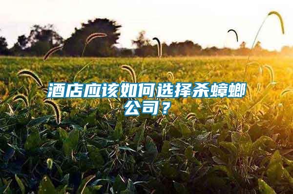 酒店應(yīng)該如何選擇殺蟑螂公司？