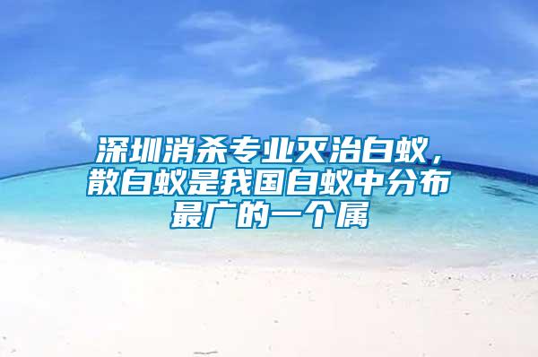 深圳消殺專業(yè)滅治白蟻，散白蟻是我國白蟻中分布最廣的一個屬